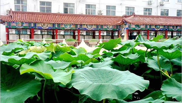 校园风采